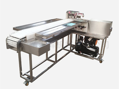 “新洪輝”切(qiē)片機曆經多次改(gǎi)進