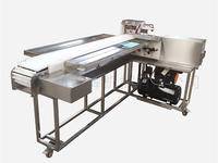 連續自(zì)動型穿串機